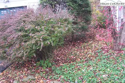 122 Trout Pond Lane, Banner Elk, NC 28604 - Photo 9