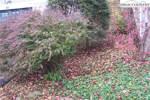 122 Trout Pond Ln, Banner Elk, NC 28604 - Photo 9