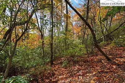 244 Poplar Drive, Beech Mountain, NC 28604 - Photo 11