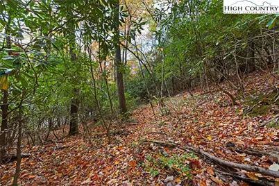 244 Poplar Drive, Beech Mountain, NC 28604 - Photo 9