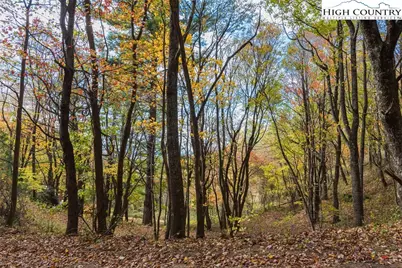 0 Mile High Lake Road, West Jefferson, NC 28694 - Photo 31