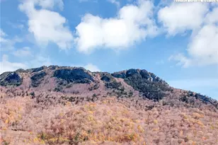 143 Loch Dornie Dr, Linville, NC 28646 - Photo 41