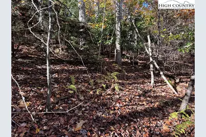 Tbd Hews Circle, Blowing Rock, NC 28605 - Photo 3