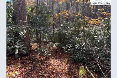 Tbd Hews Circle, Blowing Rock, NC 28605 - Photo 9