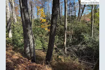 Tbd Hews Circle, Blowing Rock, NC 28605 - Photo 13
