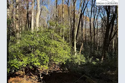 Tbd Hews Circle, Blowing Rock, NC 28605 - Photo 9