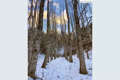 846 Joe Shoemaker Road, Vilas, NC 28692 - Photo 19