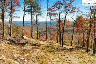 Lot 23 Bluebell Trail, Boone, NC 28607 - Photo 1