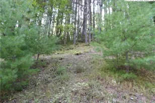 Tbd Woodlands Dr, Piney Creek, NC 28663 - Photo 1
