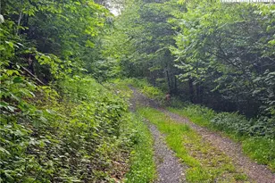 851 E Whenlin Ridge Rd, Lansing, NC 28643 - Photo 9