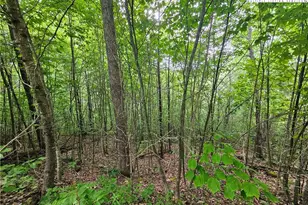 851 E Whenlin Ridge Rd, Lansing, NC 28643 - Photo 11