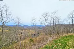 851 E Whenlin Ridge Rd, Lansing, NC 28643 - Photo 3