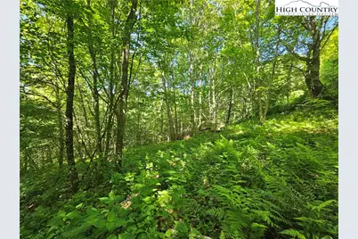 851 E Whenlin Ridge Road, Lansing, NC 28643 - Photo 13