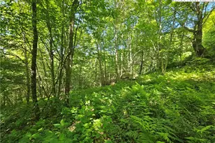 851 E Whenlin Ridge Rd, Lansing, NC 28643 - Photo 13