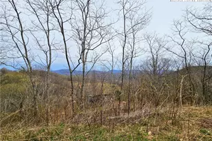 851 E Whenlin Ridge Rd, Lansing, NC 28643 - Photo 7