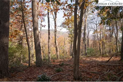 Lot 115 Autumn Sunset Overlook, Deep Gap, NC 28618 - Photo 9