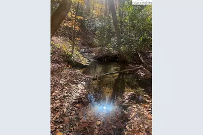 Tbd Old Hwy 16, Jefferson, NC 28640 - Photo 3