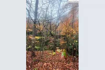 Tbd Old Hwy 16, Jefferson, NC 28640 - Photo 5