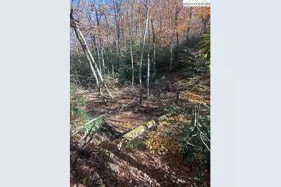 Tbd Old Hwy 16, Jefferson, NC 28640 - Photo 11