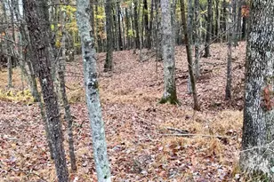 169 Woodside Rd, Galax, VA 24333 - Photo 41