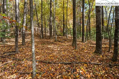 Tbd - Lot 24 Ben Miller Road, Deep Gap, NC 28618 - Photo 5