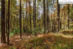 Tbd - Lot 24 Ben Miller Rd, Deep Gap, NC 28618 - Photo 1