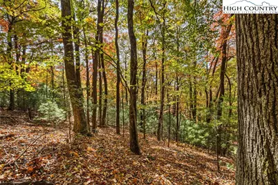 Tbd - Lot 24 Ben Miller Road, Deep Gap, NC 28618 - Photo 13