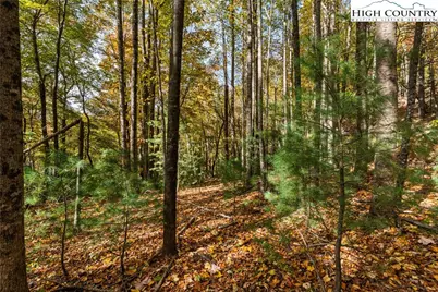 Tbd - Lot 24 Ben Miller Road, Deep Gap, NC 28618 - Photo 11