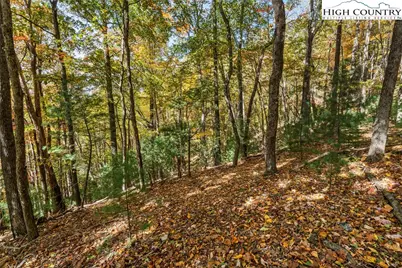 Tbd - Lot 24 Ben Miller Road, Deep Gap, NC 28618 - Photo 15