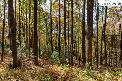 Tbd - Lot 24 Ben Miller Road, Deep Gap, NC 28618 - Photo 7