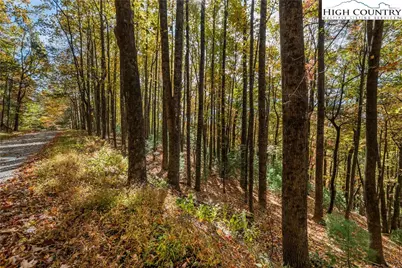 Tbd - Lot 24 Ben Miller Road, Deep Gap, NC 28618 - Photo 17