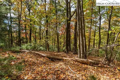 Tbd - Lot 24 Ben Miller Road, Deep Gap, NC 28618 - Photo 5