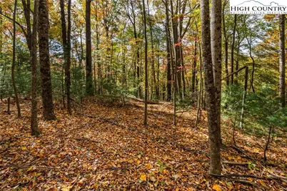 Tbd - Lot 24 Ben Miller Road, Deep Gap, NC 28618 - Photo 9