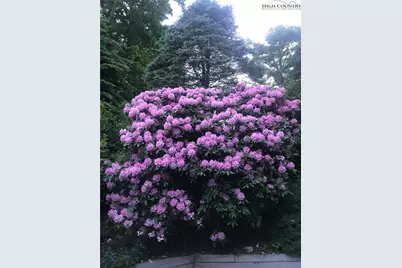 274 Highland Circle, Banner Elk, NC 28604 - Photo 43