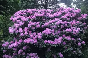 274 Highland Cir, Banner Elk, NC 28604 - Photo 43