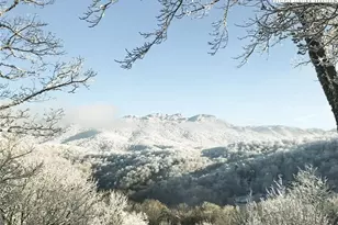 274 Highland Cir, Banner Elk, NC 28604 - Photo 3