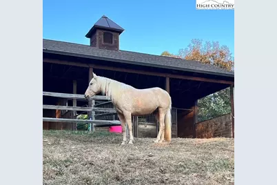 550 Big Sky Road, Ferguson, NC 28624 - Photo 35