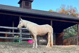 550 Big Sky Rd, Ferguson, NC 28624 - Photo 35