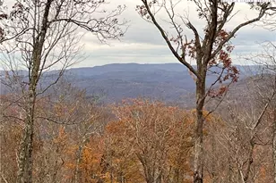 2120 Elk Creek Mountain Pkwy, Todd, NC 28684 - Photo 29