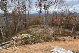 2120 Elk Creek Mountain Pkwy, Todd, NC 28684 - Photo 37