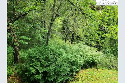 135A Wapiti Way #A, Banner Elk, NC 28604 - Photo 25