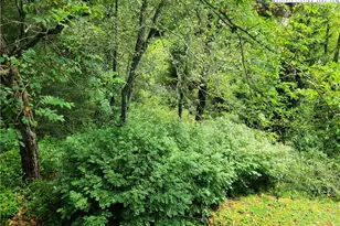 135A Wapiti Way, Banner Elk, NC 28604 - Photo 25