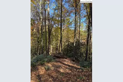 78 Holleridge Road, Ferguson, NC 28624 - Photo 7