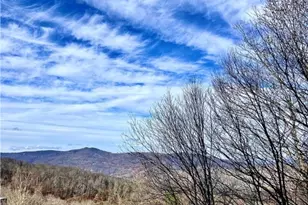 110 Sugar Ski Dr, Sugar Mountain, NC 28604 - Photo 3