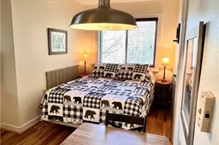 110 Sugar Ski Dr, Sugar Mountain, NC 28604 - Photo 5