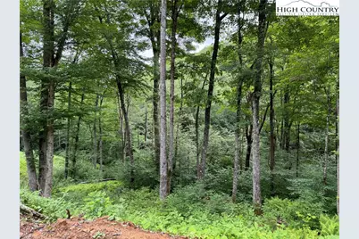 Tbd Junaluska Road, Boone, NC 28607 - Photo 29