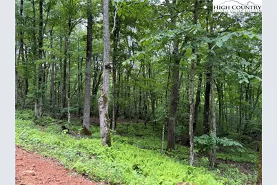 Tbd Junaluska Road, Boone, NC 28607 - Photo 7