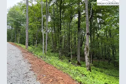 Tbd Junaluska Road, Boone, NC 28607 - Photo 19