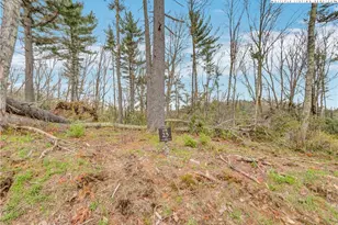 Vr23 Fernwood Trail, Elk Park, NC 28604 - Photo 1