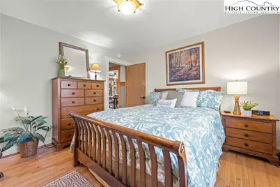 169 Hornbeam Road, Beech Mountain, NC 28604 - Photo 21